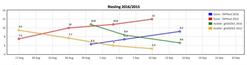 Riesling matu