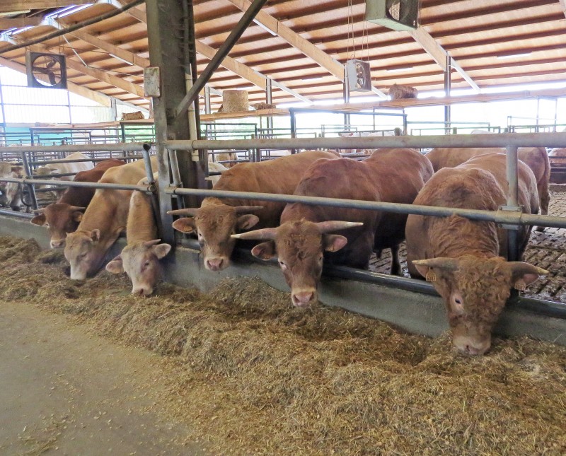 JA canton Marmoutier017- Ferme Bastian et Paget