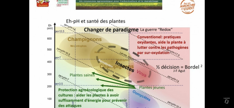 Diagramme RedOX