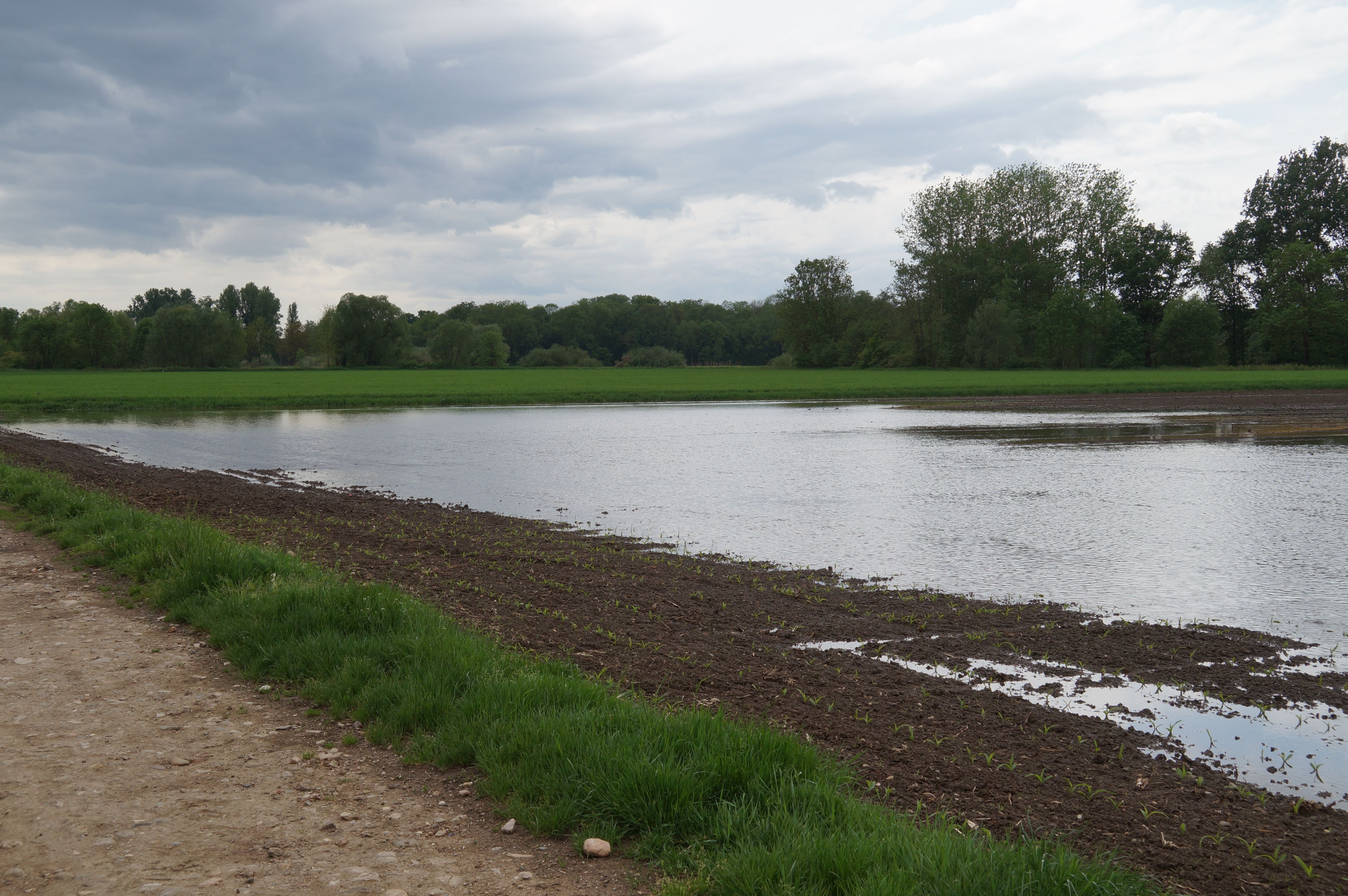 Inondation-9.jpg