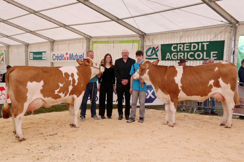 Festival 2026 - 31 - Simmental - Réserve + Grande championne.jpg