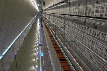 IMG_7787.JPG