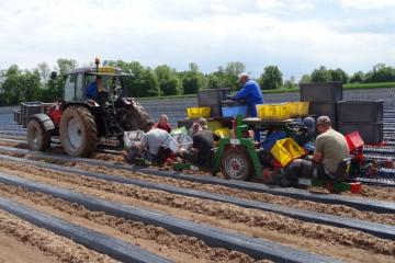 Pépinières Bernhart 3