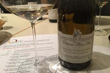 La Roche aux moines Chateau Pierre-Bise