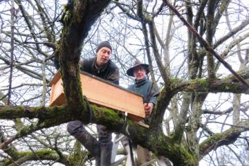 Nichoirs à chevêche