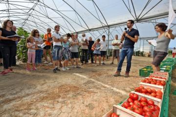 Essais Planète Légumes - 11 - Tomates.jpg