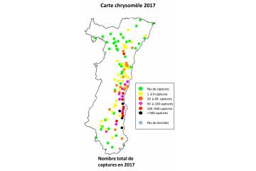 Carte chrysomèle 2017.jpg