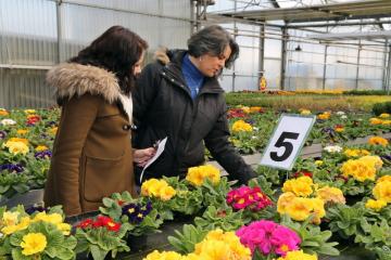 Fleurs Barthel - Flower Game - 03.jpg