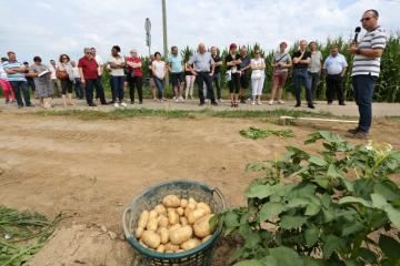 Lancement Pomme de terre - 02.jpg