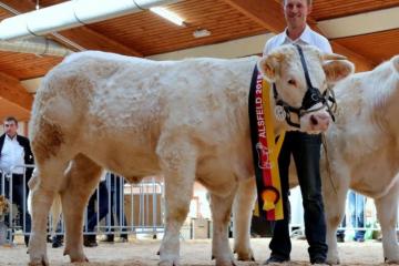 Numismatique%20Championne%20Bundesschau%20Alsfeld%