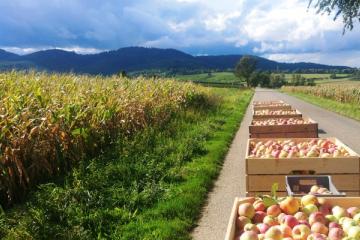 7_Ferme Burger_arbo.jpg