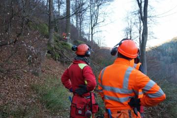 Ecole des bucherons 30111635.jpg