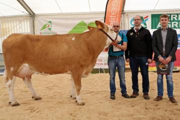 Festival de l'élevage 2019 - Concours simmental - Championne.jpg