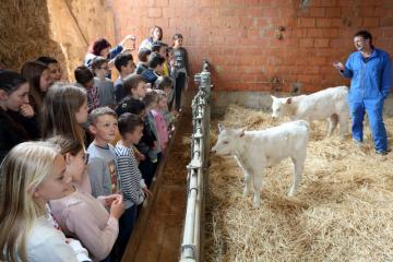 Ferme ouverte - Vix - 05.jpg