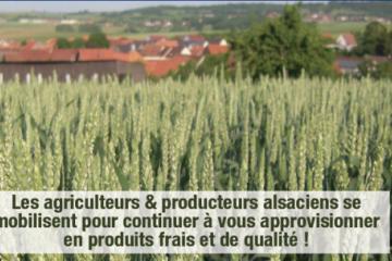 Agriculteurs d'Alsace.png