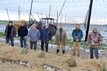 Haies - Houblonnière - 05.jpg