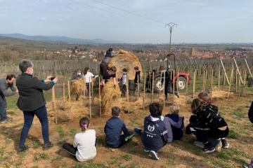 Hervé Gaschy Plantations enfants 