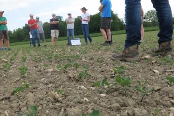 Réunion-soja- (6).JPG