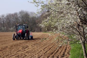 Semis betteraves_3.jpg