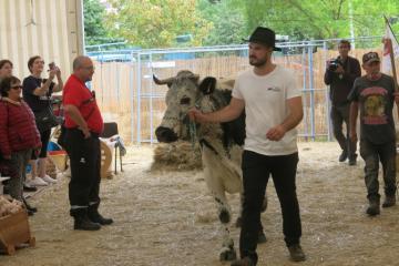 FE-CP-Vosges-2022 (6).JPG