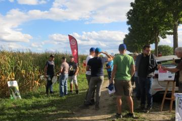 Variété-Maïs-Comptoir-2022 (8).JPG