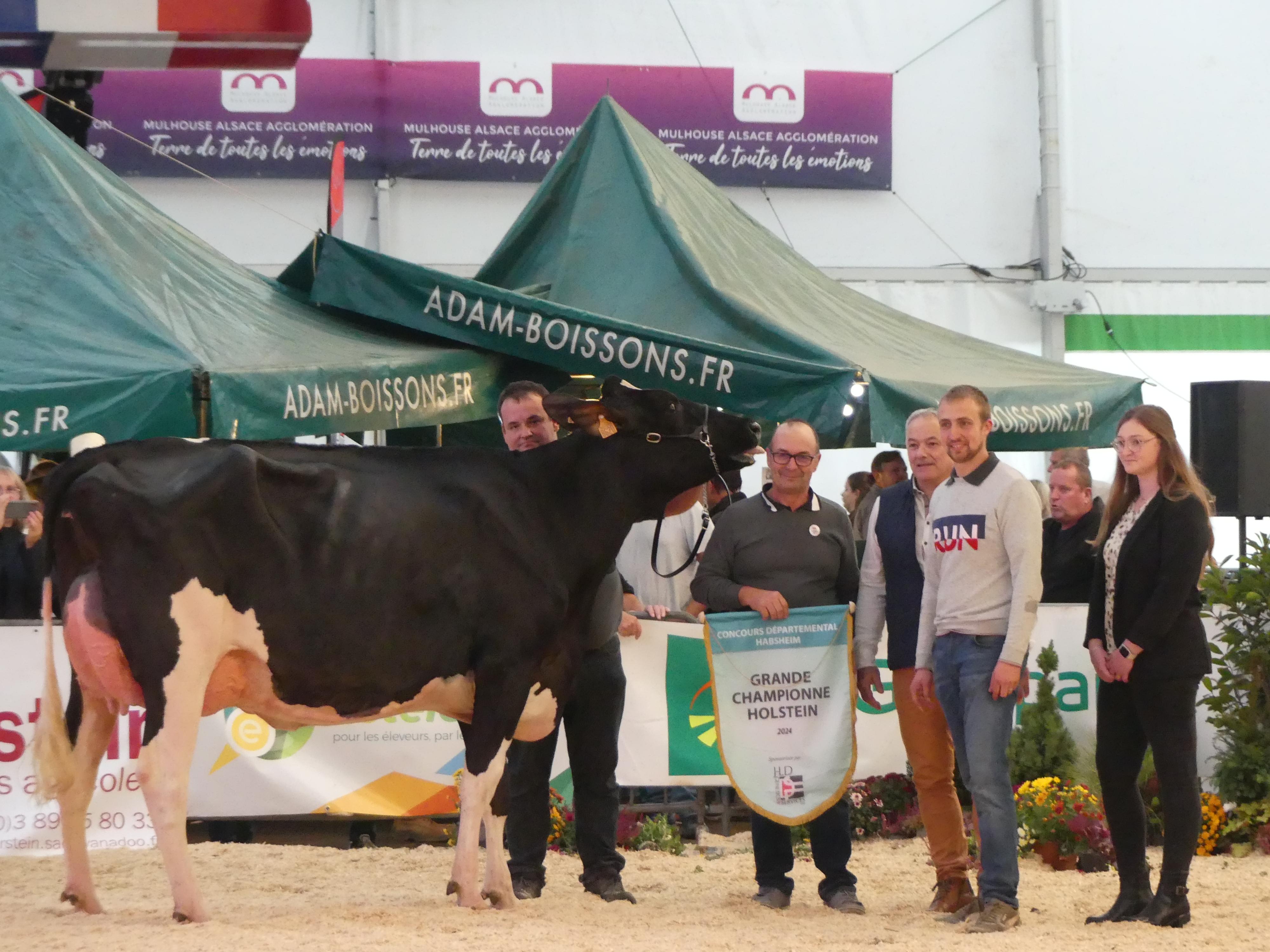 Club Holstein 68, concours d'Habsheim, Simone