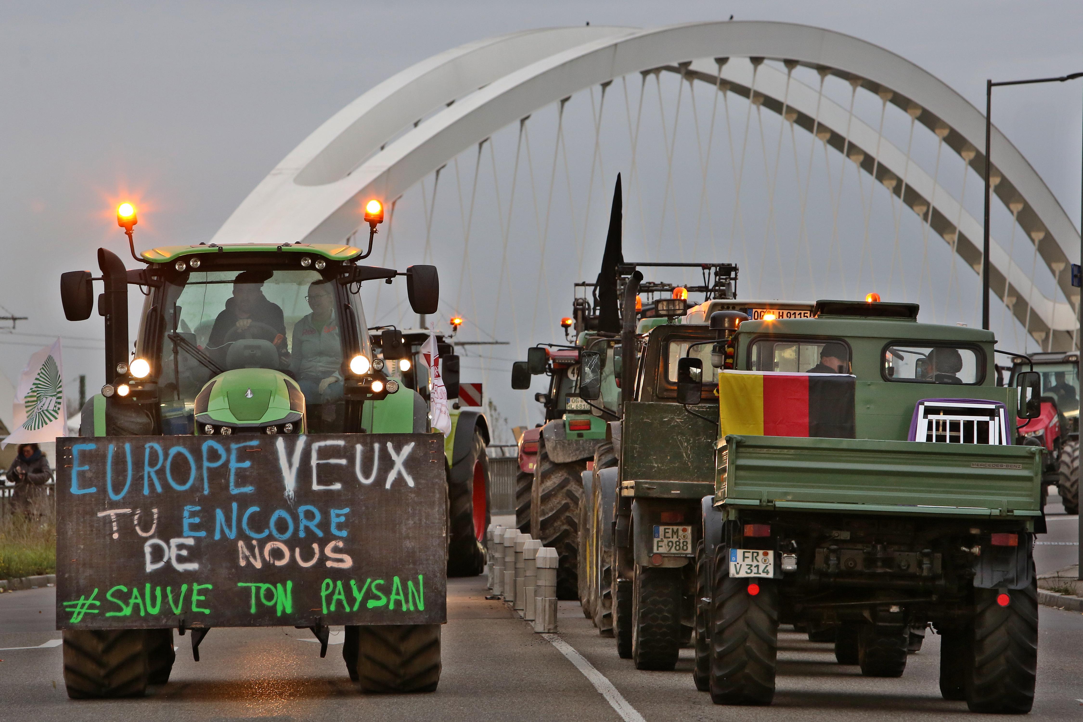 Manif pont du Rhin - 13.jpg