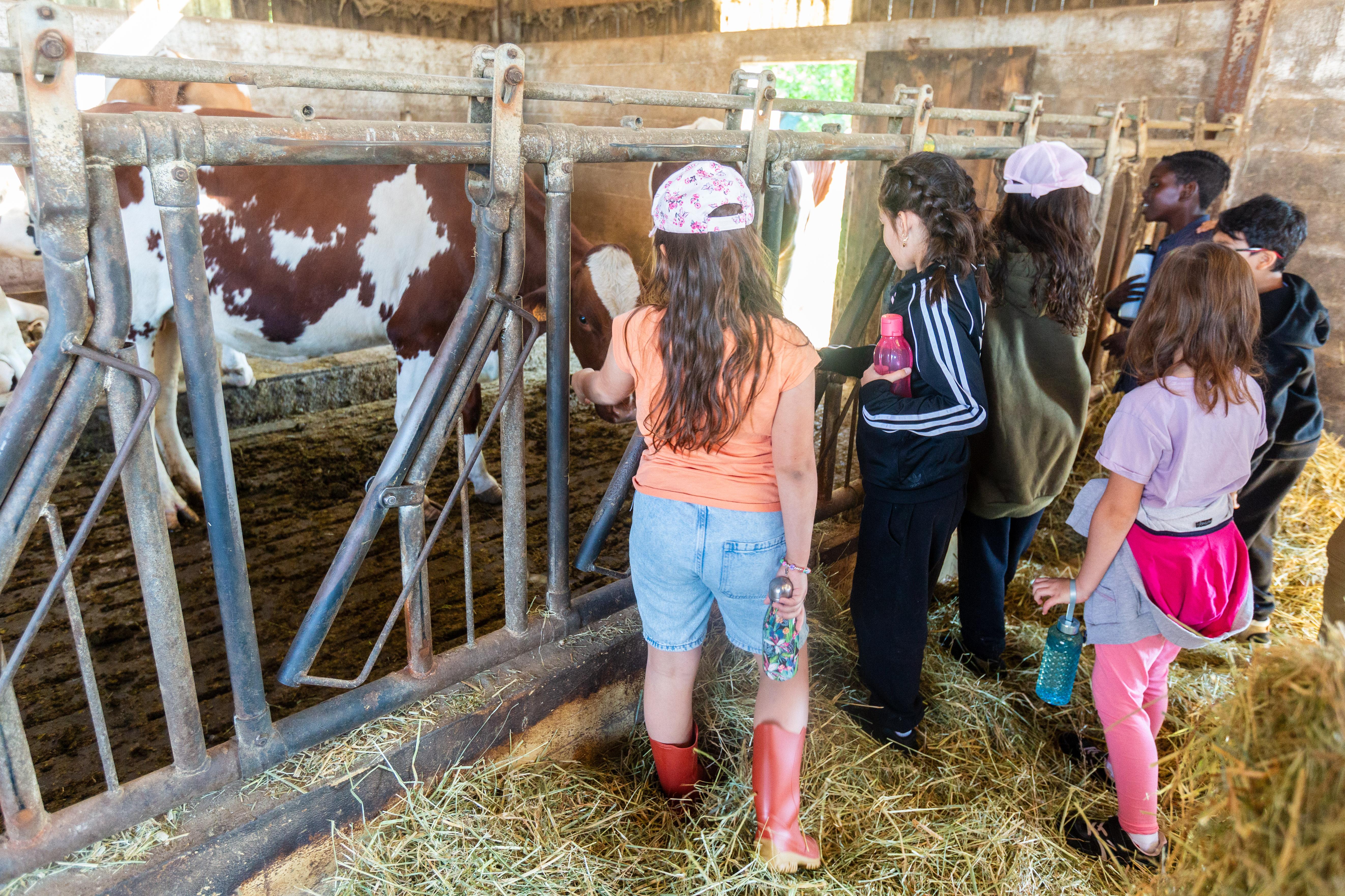 fermes-ouvertes-67_2025_01.jpg