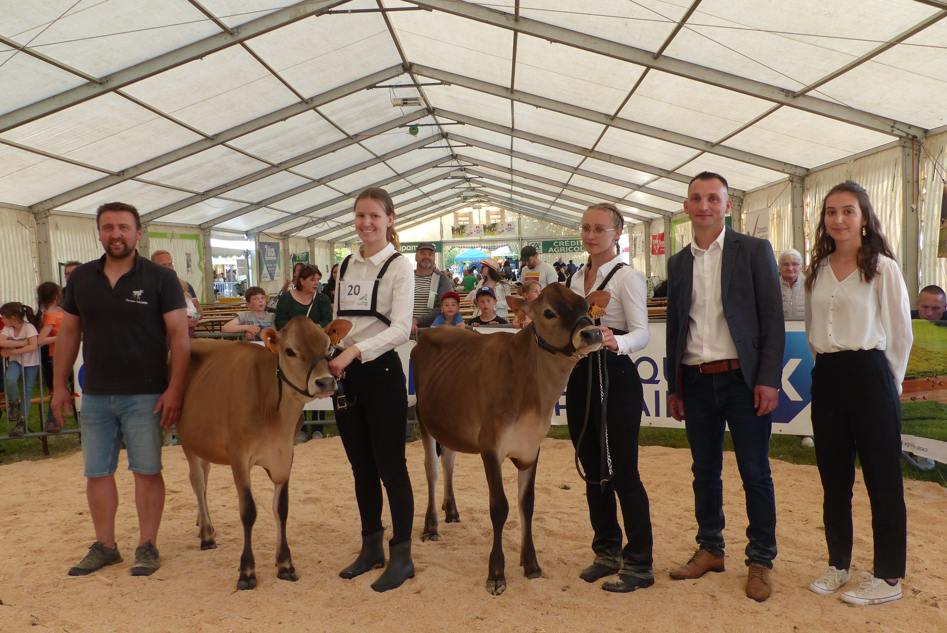 Concours race jersiaise