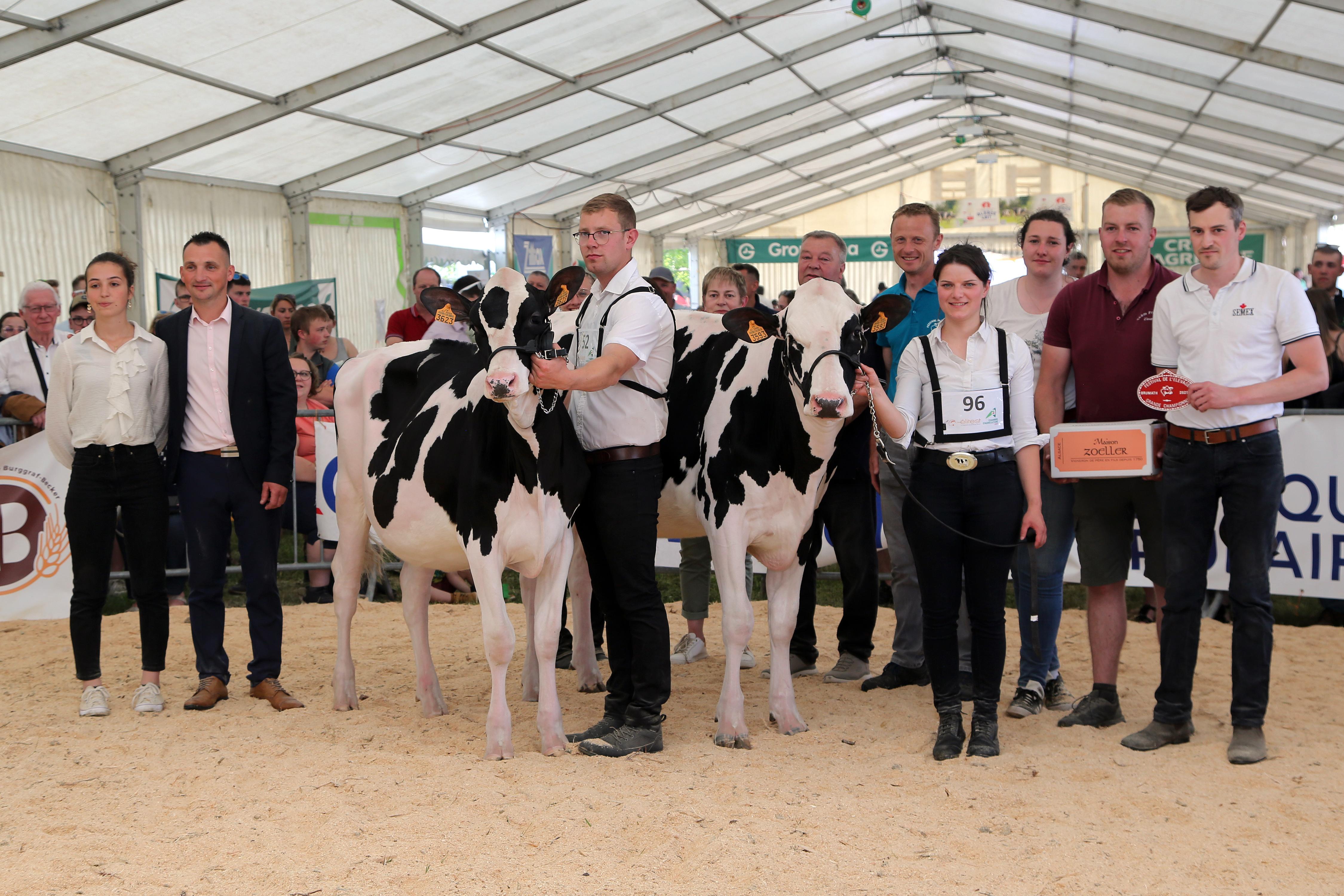 Festival 2025 - 32 - Grande champ + réserve Prim'holstein.jpg
